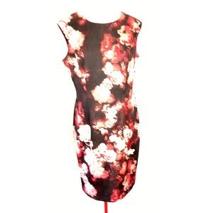 R&K Black /Red Floral Sleeveless Fitted Work Dress Size 14